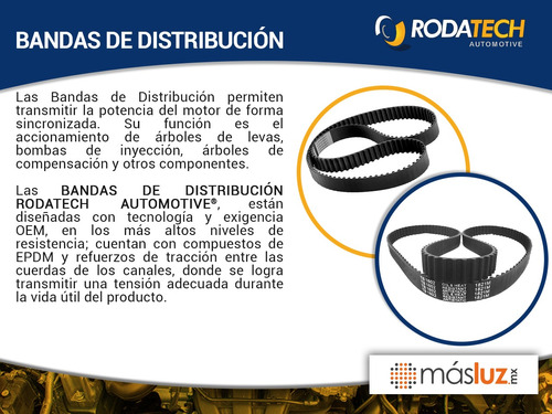 Banda Distribucin Fiat X-1/9 1.3l L4 74/78 Rodatech Foto 4