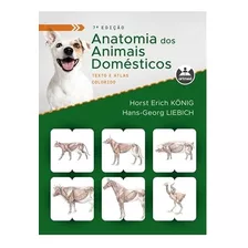 Anatomia Dos Animais Domésticos