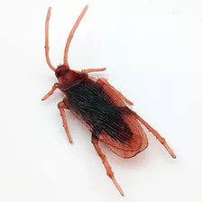 Broma De Cucaracha Insectos Desagradables Juguete Realista 