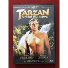 Dvd - Tarzan - O Filho Das Selvas - Antigo - Seminovo