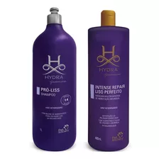 Shampoo Hydra Pró Liss 1l + Máscara Liso Perfeito 480ml Cães