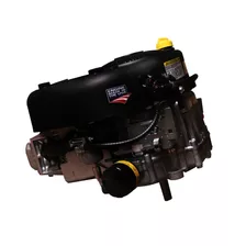 Motor Vertical B&s 14,5 Hp 500cc Briggs & Stratton Fema