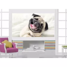 Adesivo Parede Pet Shop Pug Rindo Cachorro Raça Dog Cão