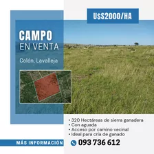 Vendo 320 Hectáreas De Sierra Ganadera- Colón Lavalleja 