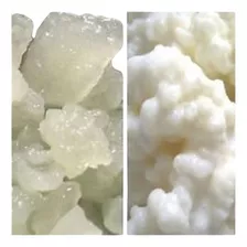 Kefir De Leite E Kefir De Água + Brinde + Instruções