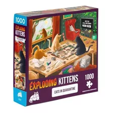 Puzzle Exp Kittens: Cats In Quarantine / Demente Games