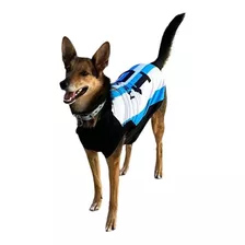 Camiseta Seleccion Argentina Para Perros - Talle Xxl