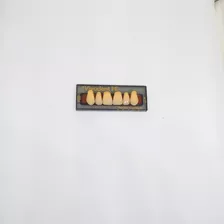 Dientes Vivodent Ivoclar Color 1 C 140 Novacekdental