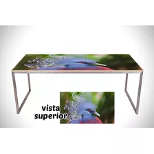 Vinilo Para Mesa Ave Pajaro Hermoso Naturaleza Animales