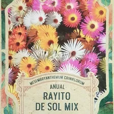 Pack Semillas Rayito De Sol Mix X 200 Semillas 