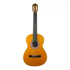 Guitarra Acústica Forro Correa Instalada Pics Antiragueo 