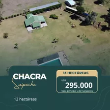 Chacra En Venta En Suipacha 13 Hectáreas, Casa Principal, Casa De Huéspedes, 4000 Eucaliptus