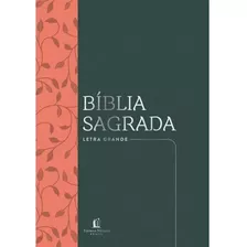 Bíblia Sagrada Nvi, Couro Soft, Verde, Letra Grande, Leitura Perfeita, De Thomas Nelson Brasil. Vida Melhor Editora S.a, Capa Mole Em Português, 2020