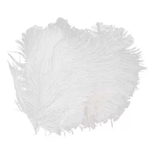 10 Plumas De Avestruz Blancas De 6,7 A 9 Pulgadas.