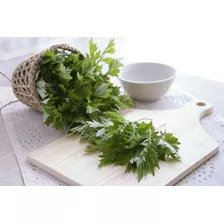 Artemisia Vulgaris Hierba De San Juan Hojas Secas (25gr)