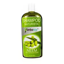 Shampoo Naturista De Hierba Neem 400 Ml