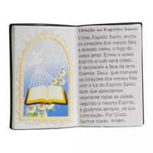 Porta Caneta Decorativo Resina Livro Imagem Espirito Santo