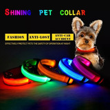 Collares Led Luminosos Recargable Para Mascotas Perro Gato