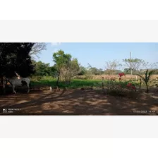 Rancho En Venta Sal Si Puedes