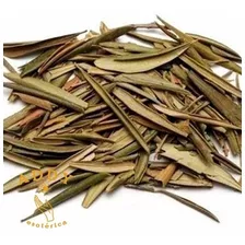 Hoja De Olivo - 1 Kilo