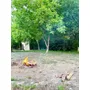 Segunda imagen para búsqueda de jardin fiesta economico