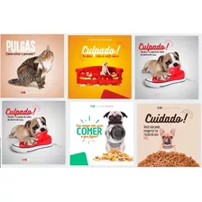 Pack Canva Pet Shop 40 Templates Feed Para Instagram