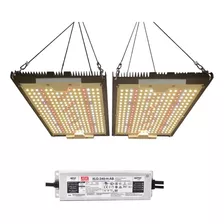 Panel Led Quantum Board - Samsung Lm301h Evo 240w 