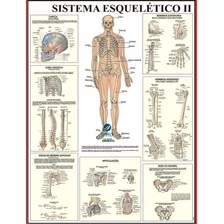 Mapa Do Corpo Humano Sistema Esqueleto Ii 120cm