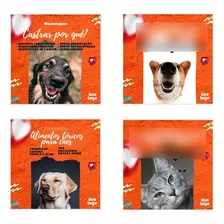 Pack 100 Artes Petshop E Veterinária - Editáveis No Canva