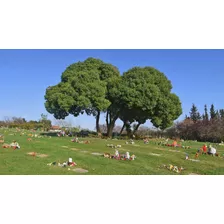 Se Vende Terreno Cementerio Parque Los Pensamientos 