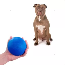 Bola Para Rottweiler Brinquedo Anti-stress Para Cães Grandes