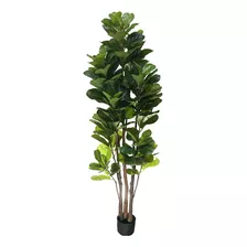 Planta Artificial Ficus Lyrata - 180 Cm