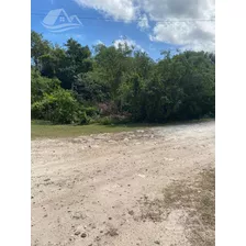 Terreno En Venta O Renta En Cancún Col Doctores En Esquina Zona Muy Comercial B-alrz6875