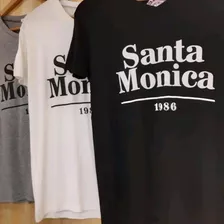 Remera Santa Mónica (gris)