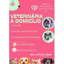 Veterinária A Domicílio Rj
