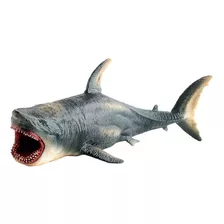 Megalodon-pré-histórico Tubarão Oceano Educação Animal Fig.