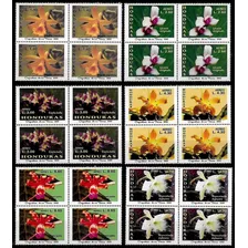 Flora - Orquídeas - Honduras 2002 - Serie En Cuadros Mint