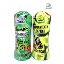 Shampoo Extracto De Plantas Y Tratamiento Capilar