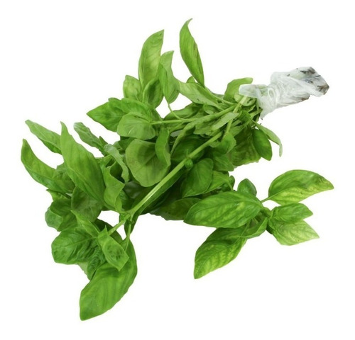 100 Semillas  Albahaca  Huerta Riego Aromaticas Aquaflex