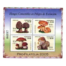 Honduras 2005 - Hongos Comestibles - Hojita Bloque
