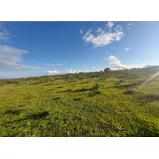 90 Hectáreas En Venta En San Miguel Allende