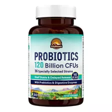 Probioticos Con Prebioticos Y Enzimas Digestivas | Resistent