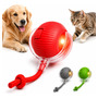 Bola Pet Inteligente Automática Giratória Recarregável Usb Brinquedo Cachorro Cão Gato Cauda Pets - Black Raipe Sortido