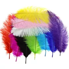 Plumas De Avestruz 38 Cm 1 Pz