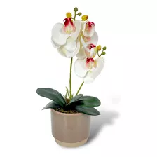 Arranjo Orquidea Branco Beauty C/ Vaso Ceramica Fendi