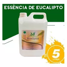 Eucalipto Concentrado 5 Lt Essência Para Sauna