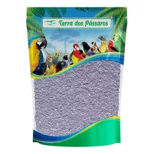 Farinha De Ostra Fina - 500 Gramas