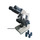 Microscopio Compuesto Binocular Physis.
