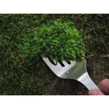 10 Planchas De Musgo Decorativo Para Bonsai - 1 Unidad