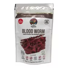 Ração Blood Worms Em Conserva Yepist Para Peixes 30g